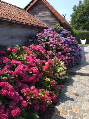 Flemish Cottage Oostkamp Dış mekan fotoğraf